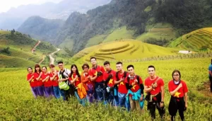 Lưu nháp tự động