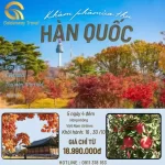 Khám phá mùa thu Hàn Quốc